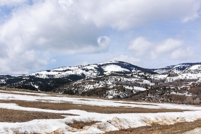 2555 N Bear Lake Blvd, Garden City, UT 84028