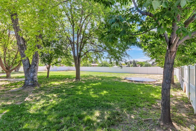 850 E 760 N, Lehi, UT 84043 - view of yard