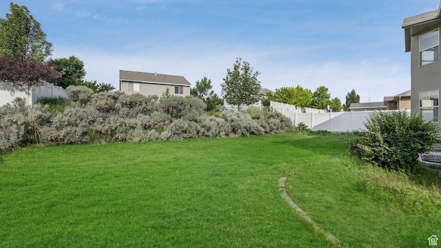 13764 S Rosie Ln, Herriman, UT 84096 - view of yard