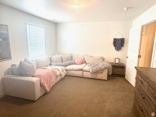953 N 850 E Unit 229, Layton, UT 84041 - living area featuring carpet floors