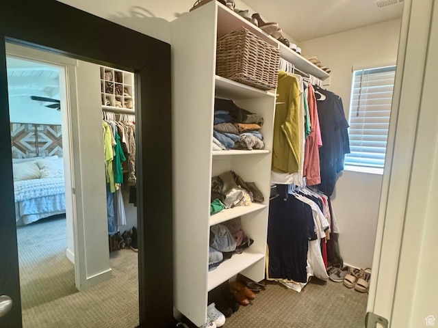 953 N 850 E Unit 229, Layton, UT 84041 - walk in closet with carpet flooring