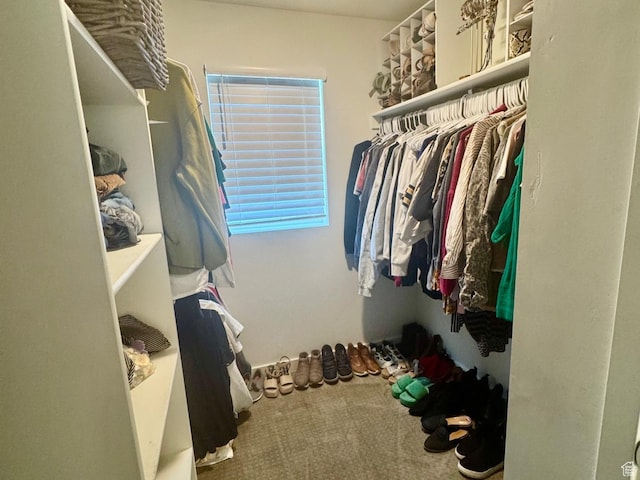 953 N 850 E Unit 229, Layton, UT 84041 - view of walk in closet