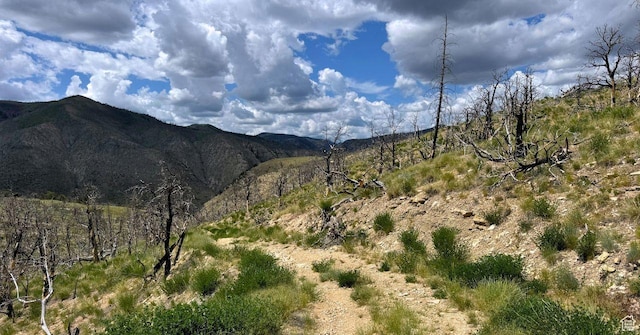 Unit 5, Fruitland, UT 84027