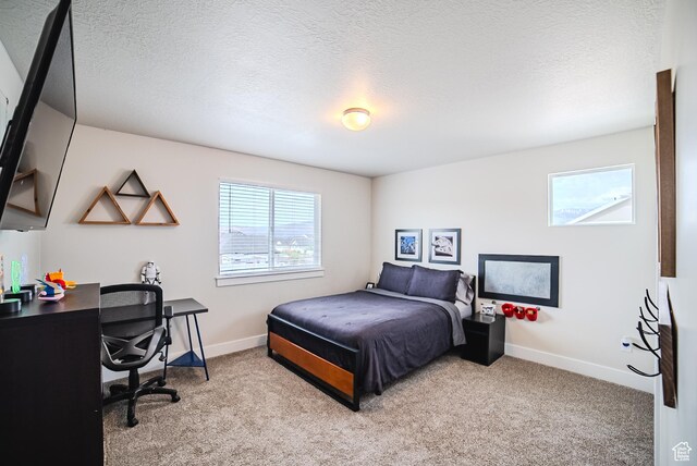 756 W Mason Ct, Saratoga Springs, UT 84045 - photo 24