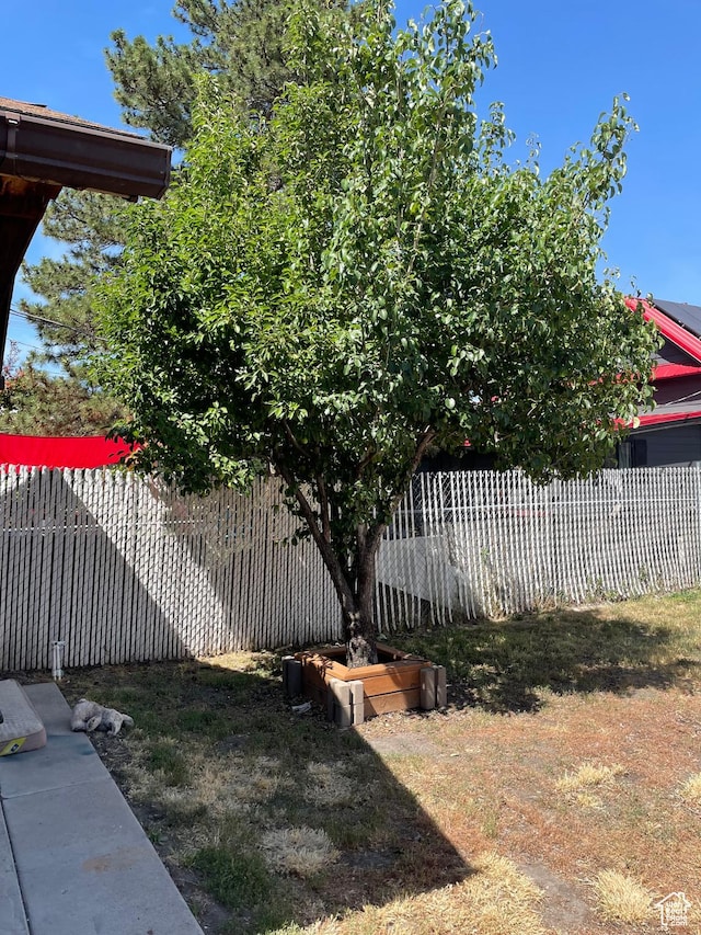 955 N Catherine St, Salt Lake City, UT 84116 - view of yard