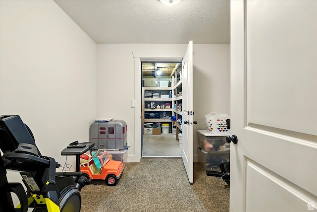 674 S 150 W, Hyde Park, UT 84318 - view of storage