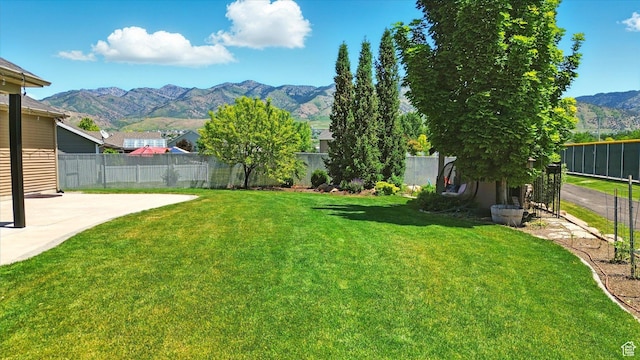 674 S 150 W, Hyde Park, UT 84318 - view of yard with a mountain view and a patio