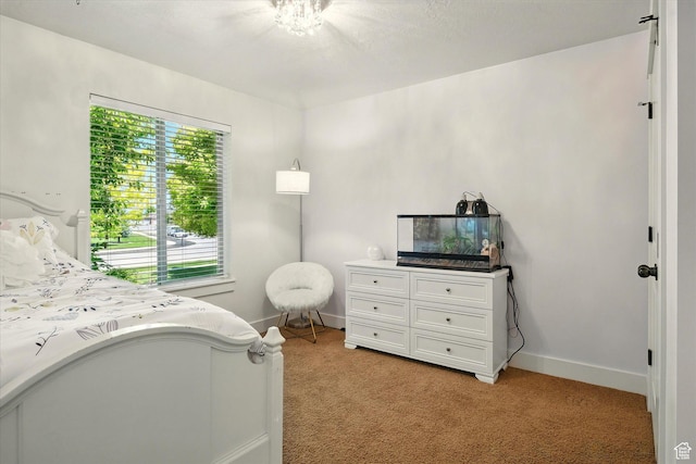 674 S 150 W, Hyde Park, UT 84318 - bedroom with light carpet and baseboards