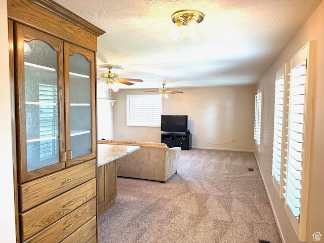5253 S 2150 W, Roy, UT 84067 - unfurnished living room with carpet, a textured ceiling, plenty of natural light, a ceiling fan, and baseboards