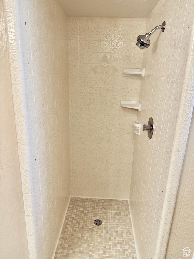 5253 S 2150 W, Roy, UT 84067 - full bath with tiled shower