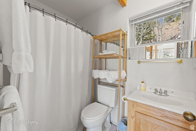 332 W Pinehurst Dr, Brian Head, UT 84719 - full bathroom featuring vanity, toilet, and a shower with shower curtain