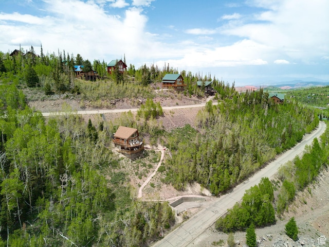 332 W Pinehurst Dr, Brian Head, UT 84719 - view of subject property