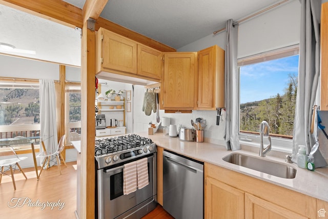 332 W Pinehurst Dr, Brian Head, UT 84719 - kitchen with appliances with stainless steel finishes, a sink, light countertops, light wood-type flooring, and light brown cabinetry
