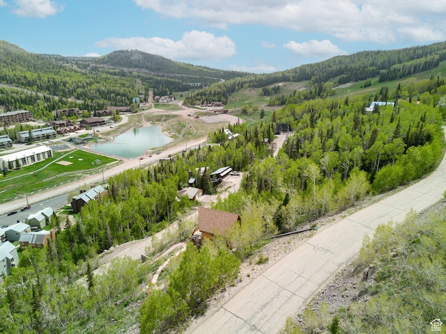 332 W Pinehurst Dr, Brian Head, UT 84719 - bird's eye view of a forest and a water and mountain view