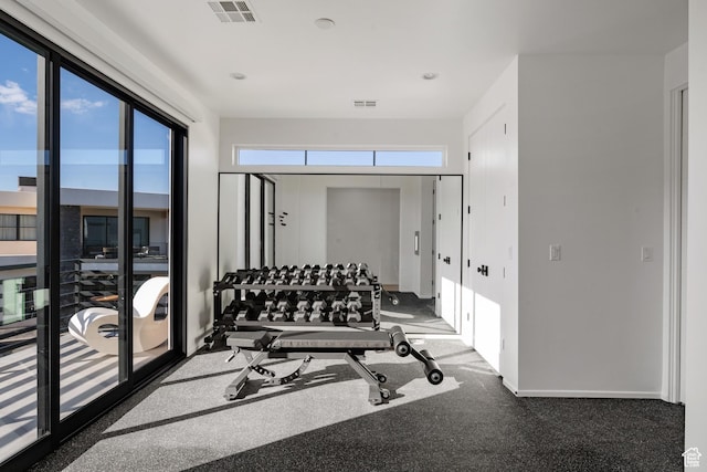 3147 S Mesa Verde Cir, Hurricane, UT 84737 - exercise room featuring healthy amount of natural light