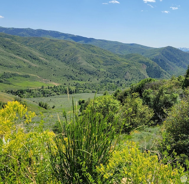 12737 E High Pine Cir N Unit 54, Huntsville, UT 84317