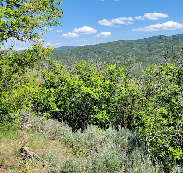 12737 E High Pine Cir N Unit 54, Huntsville, UT 84317