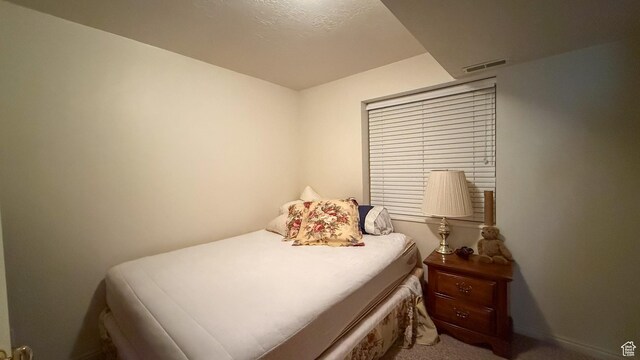 143 E Chestnut St, Scofield, UT 84526 - photo 20