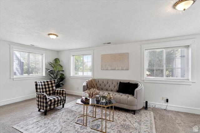 595 E 100 S, Morgan, UT 84050 - carpeted living room with a textured ceiling and baseboards