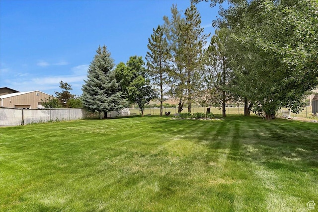 595 E 100 S, Morgan, UT 84050 - view of yard