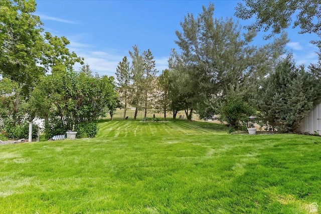 595 E 100 S, Morgan, UT 84050 - view of green lawn