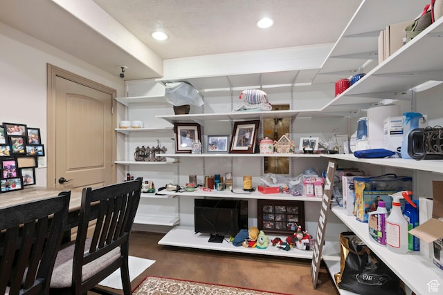 2908 W Bison Ridge Rd, South Jordan, UT 84095 - view of storage