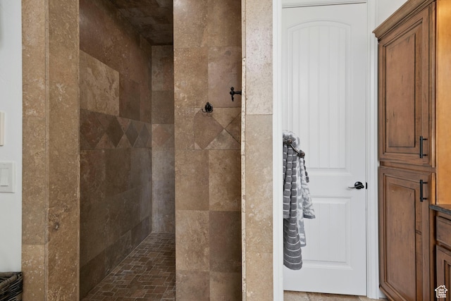 2908 W Bison Ridge Rd, South Jordan, UT 84095 - bathroom featuring a tile shower