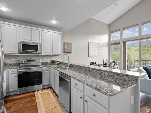 6749 N 2200 W Unit B-303, Park City, UT 84098 - kitchen with appliances with stainless steel finishes, a sink, a peninsula, recessed lighting, and dark wood finished floors