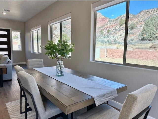 108 Trapper Cir Unit A, Springdale, UT 84767 - dining space featuring plenty of natural light, wood finished floors, baseboards, and a mountain view