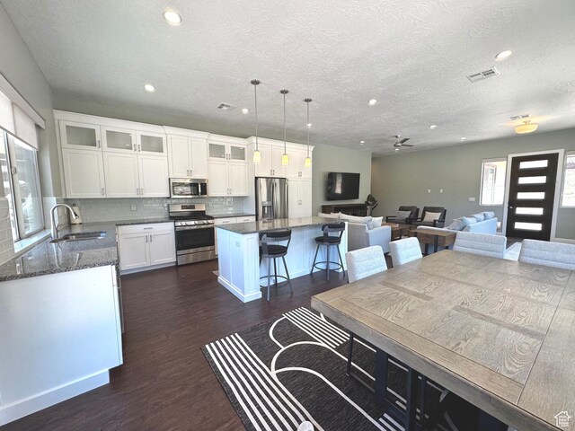 108 Trapper Cir Unit A, Springdale, UT 84767 - photo 5