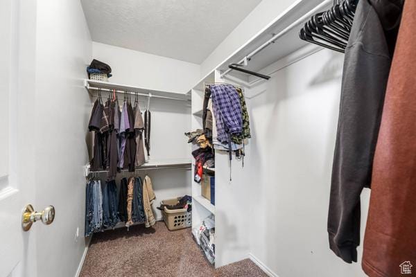 755 E 890 N, Tooele, UT 84074 - spacious closet with carpet floors
