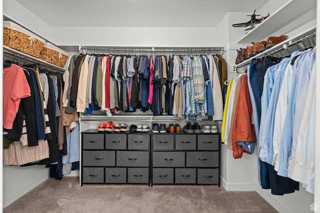 1314 W 1550 N, Lehi, UT 84043 - spacious closet with carpet
