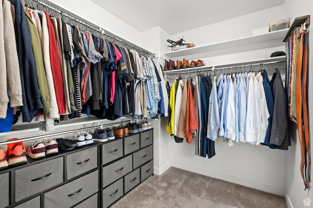 1314 W 1550 N, Lehi, UT 84043 - walk in closet featuring carpet flooring