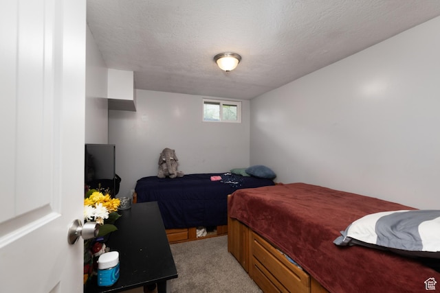 8750 W Helen Dr N, Magna, UT 84044 - bedroom featuring light carpet and a textured ceiling