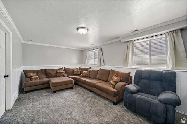 593 N 680 W, Tooele, UT 84074 - carpeted living area with ornamental molding, a textured ceiling, and a wainscoted wall