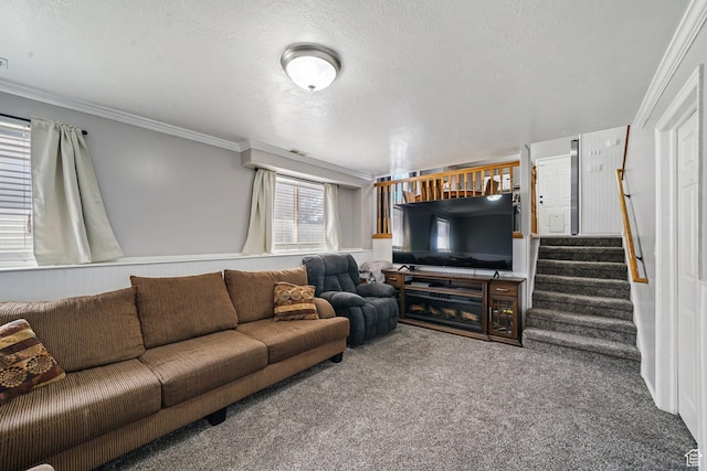 593 N 680 W, Tooele, UT 84074 - living area with carpet floors, ornamental molding, stairs, and a textured ceiling