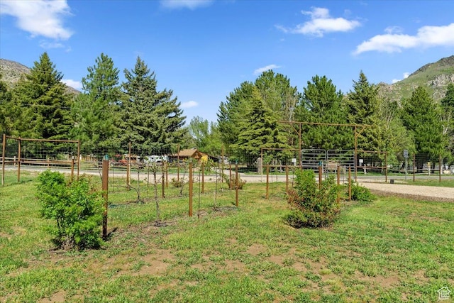 145 N 10450 E, Huntsville, UT 84317 - view of yard featuring a mountain view