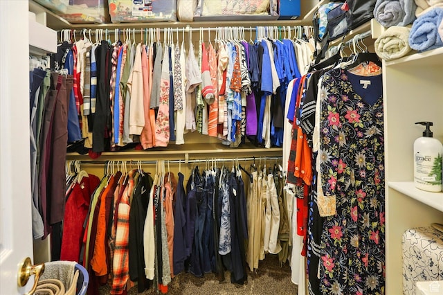 1926 N 1420 W, Provo, UT 84604 - walk in closet with carpet