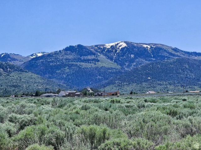 1 Pine Creek Rd, Mount Pleasant, UT 84647 - photo 10