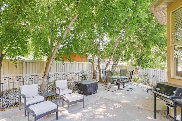 1111 E Bench View Dr, Ogden, UT 84404 - fenced backyard with a patio, a grill, and outdoor dining space