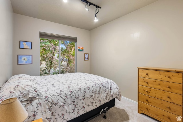 1111 E Bench View Dr, Ogden, UT 84404 - bedroom featuring light colored carpet, rail lighting, and baseboards