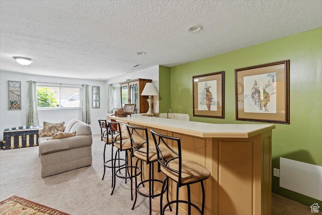 3272 N 175 W, North Ogden, UT 84414 - indoor bar featuring a textured ceiling and light carpet