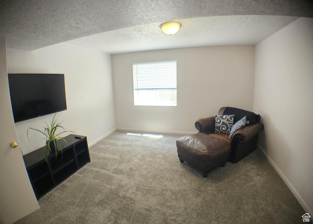 506 E 670 N, Tooele, UT 84074 - living area with carpet flooring, baseboards, and a textured ceiling