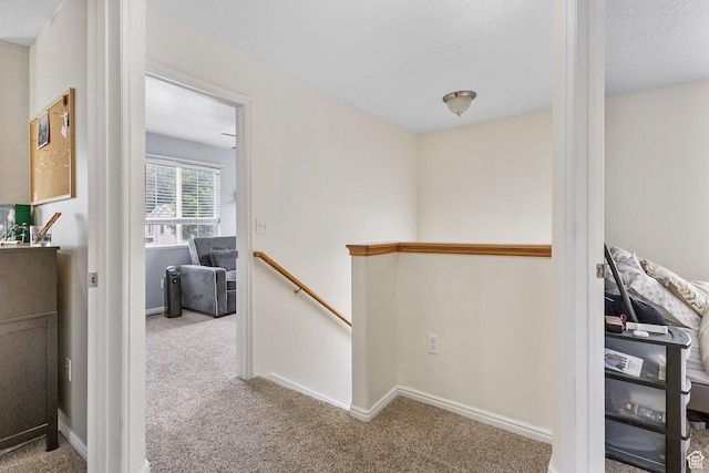 3709 S Angelico Ct Unit D, West Valley City, UT 84119 - hall with an upstairs landing, carpet floors, and baseboards
