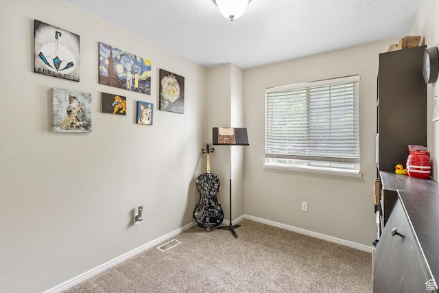 3709 S Angelico Ct Unit D, West Valley City, UT 84119 - miscellaneous room with carpet flooring, baseboards, and a textured ceiling