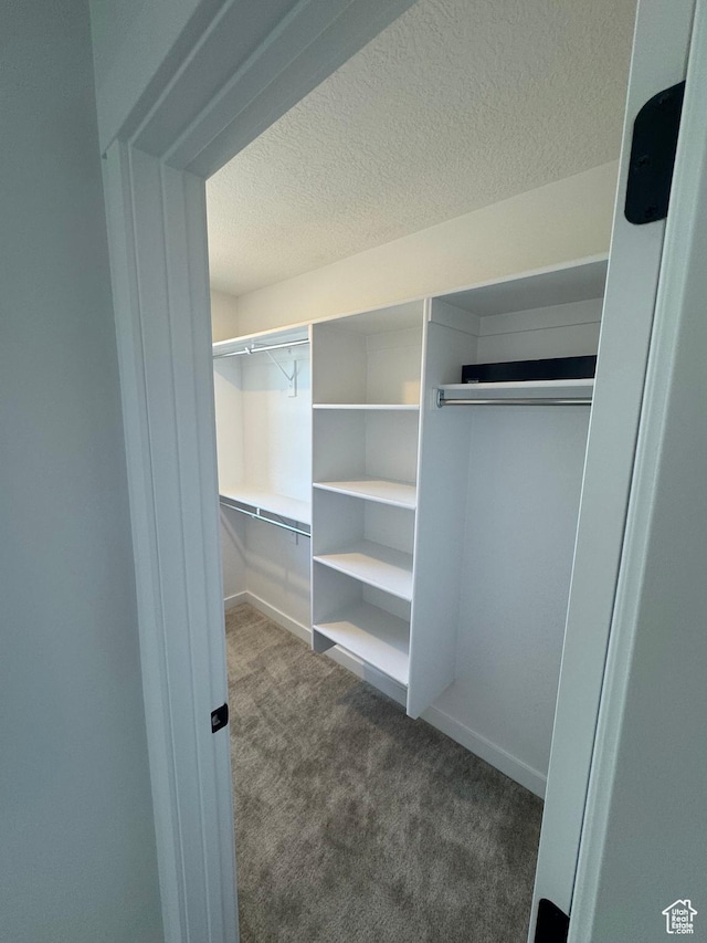 1650 N Main St N Unit 126, Layton, UT 84041 - walk in closet with carpet floors