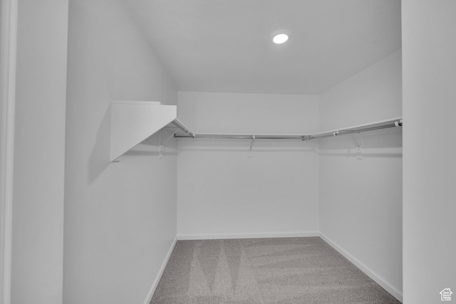 1972 E Burger St Unit 1236, Lake Point, UT 84074 - walk in closet with carpet flooring