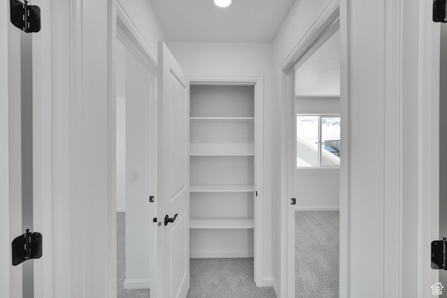 1972 E Burger St Unit 1236, Lake Point, UT 84074 - view of closet