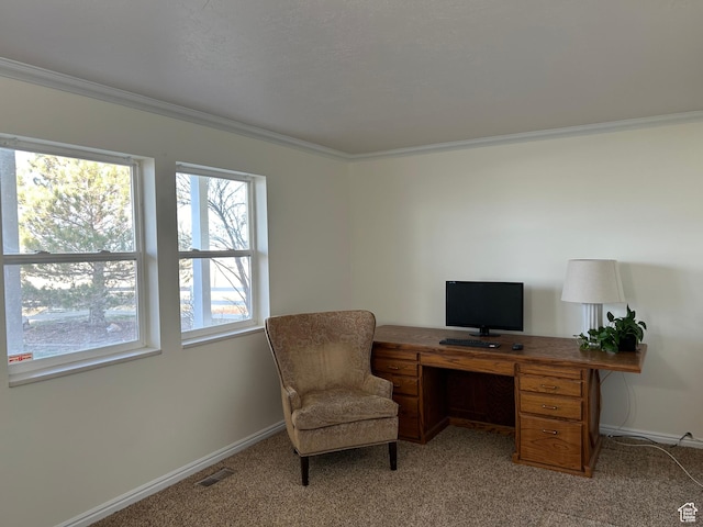 4306 Elk Ln, Erda, UT 84074 - office space with crown molding, light carpet, and baseboards