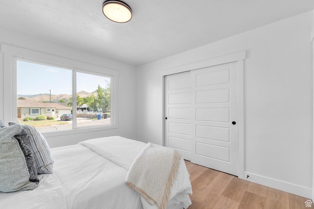 2808 E 3220 S, Millcreek, UT 84109 - bedroom featuring light wood-style flooring, baseboards, and a closet